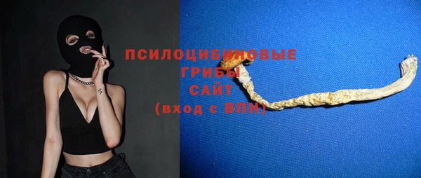 ГАЛЛЮЦИНОГЕННЫЕ ГРИБЫ Красноперекопск