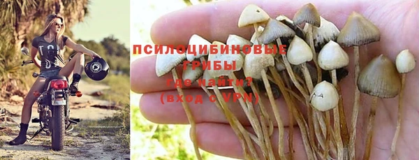 mdma Зерноград