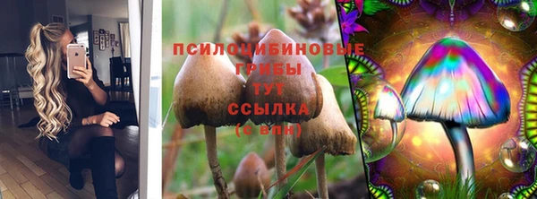 ГАЛЛЮЦИНОГЕННЫЕ ГРИБЫ Красноперекопск