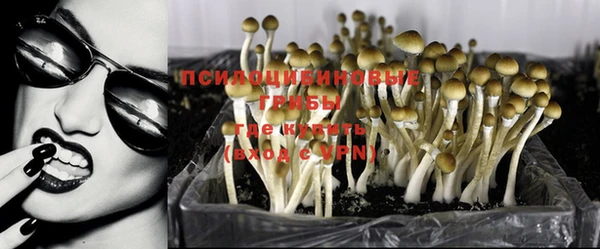герыч Зеленокумск