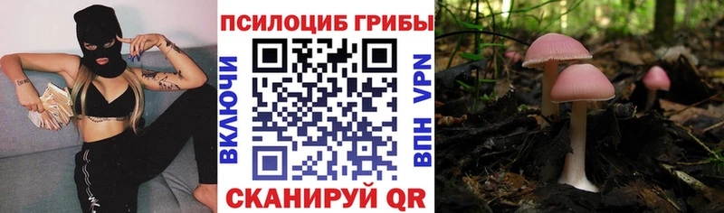 Галлюциногенные грибы Magic Shrooms  Рошаль 