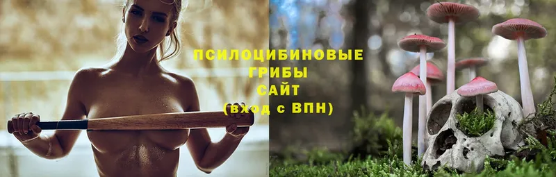 Галлюциногенные грибы MAGIC MUSHROOMS  где можно купить наркотик  Рошаль 